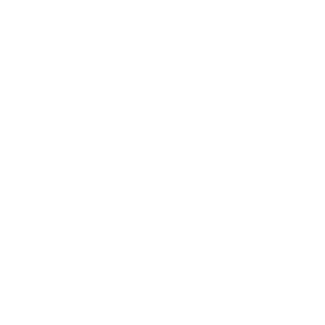 Satisfaction Mobile (1)